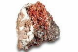 Ruby Red Vanadinite Crystals on Black & White Barite - Top Quality #253388-3
